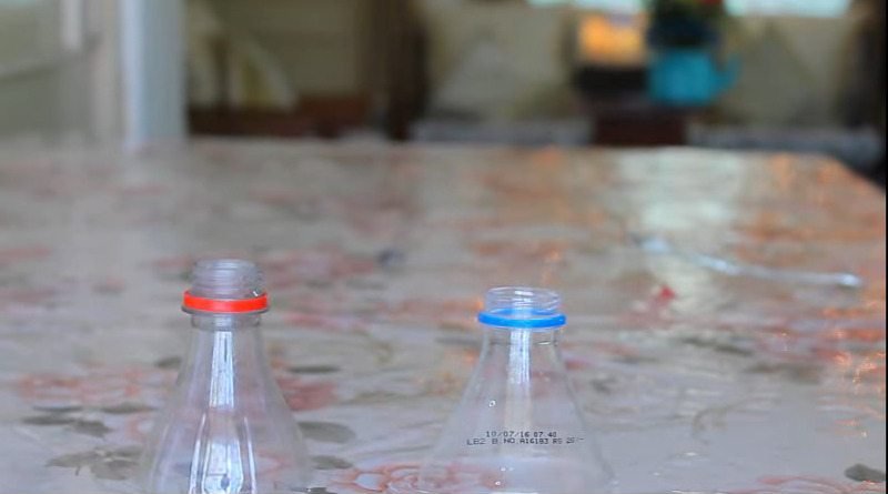 6 Best ideas to recycle plastic bottle3