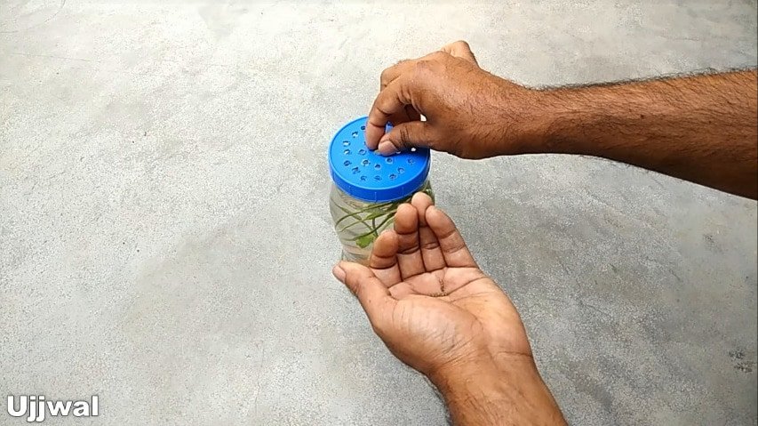 How to make bottle aquarium13