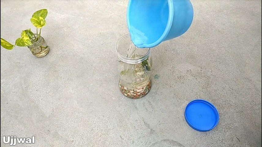 How to make bottle aquarium8