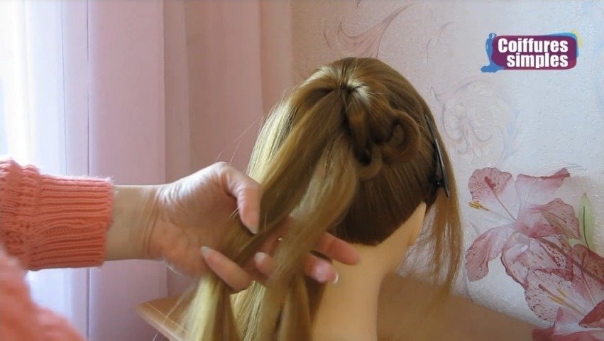 Braid Hairstyle Knots