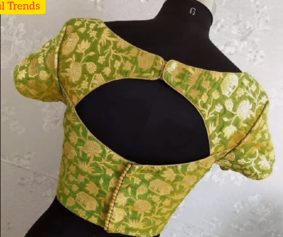 Back Neck Designs for Silk Sarees