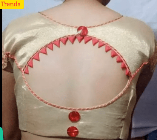 Back Neck Designs for Silk Sarees