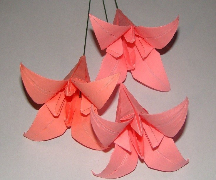 Origami Lily 1