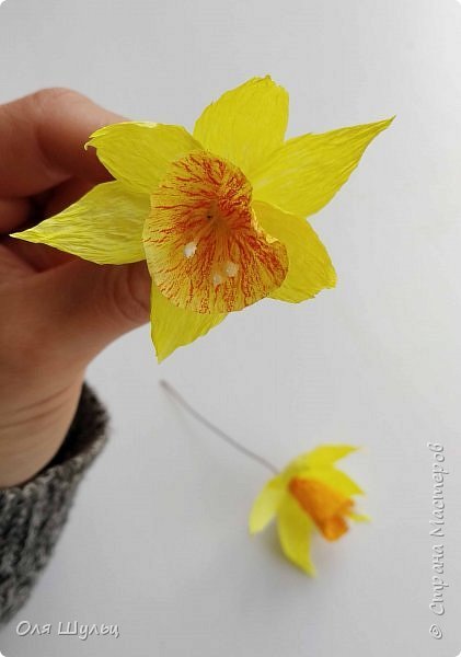 How to Make Daffodils from Paper 11