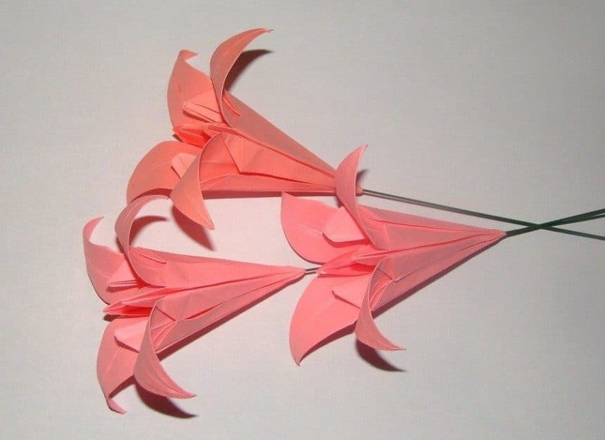 Origami Lily 5