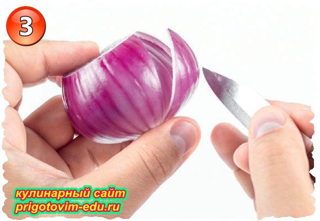 Cut a Lotus Flower from Red Onions 5