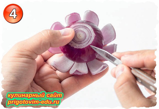 Cut a Lotus Flower from Red Onions 6