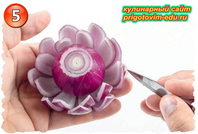 Cut a Lotus Flower from Red Onions 7