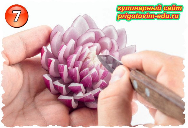 Cut a Lotus Flower from Red Onions 9