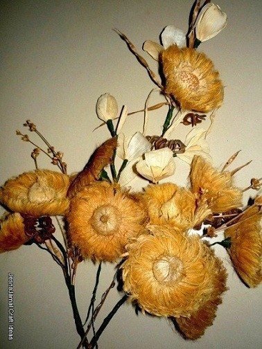 How to Make Flowers from Arecanut 1