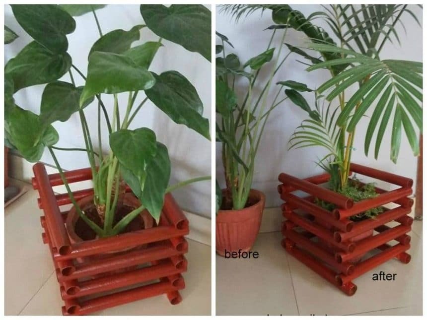 Indoor Plant Holder 1