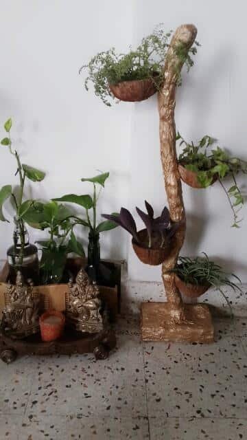 Coconut Shell Flower Planter 1