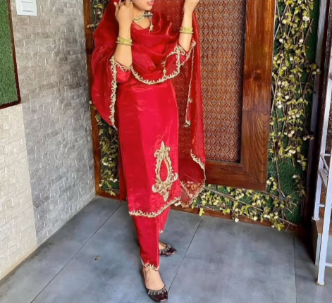 Different types of Punjabi Party Wear Suits 10