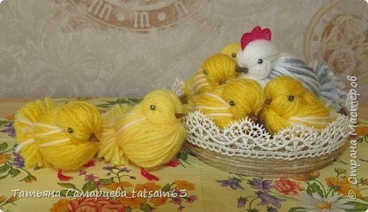 Chickens from the Yarn 18