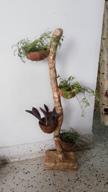 Coconut Shell Flower Planter 2