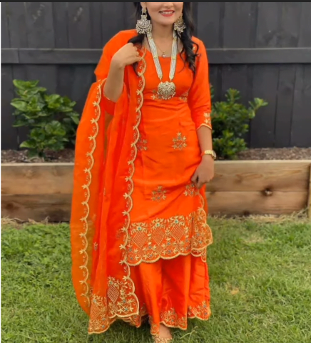 Different types of Punjabi Party Wear Suits 6