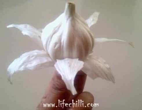 Creating Beautiful Flowers with Garlic 7