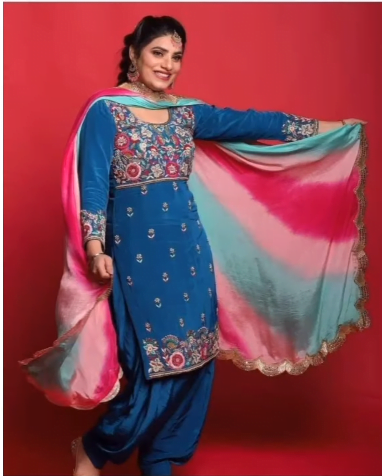 Different types of Punjabi Party Wear Suits 9