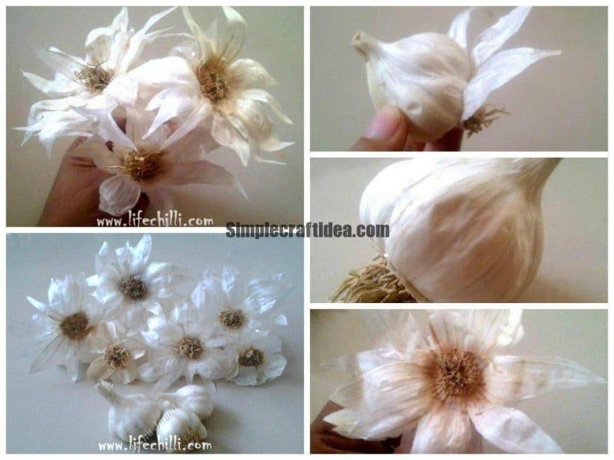 Creating Beautiful Flowers with Garlic a1