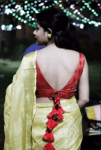 Beautiful Back Neck Blouse Designs 21