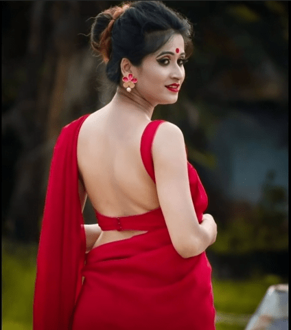 Beautiful Back Neck Blouse Designs 24