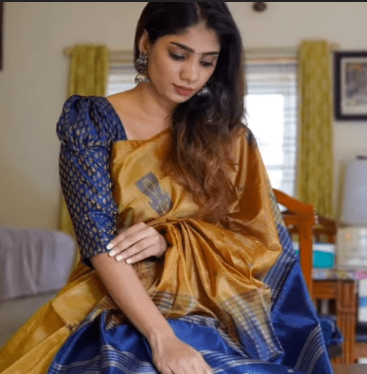 Silk Banarasi Brocade Blouse Design 4