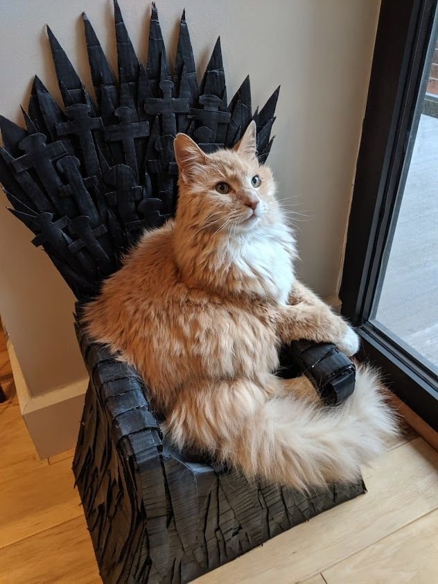 Cardboard Iron Throne Cat Bed 9