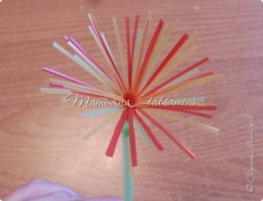 Fireworks Flower from Plastic Tubes 13