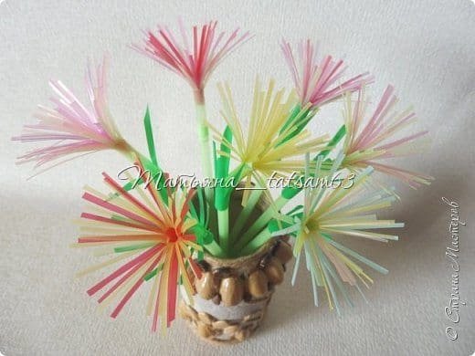Fireworks Flower from Plastic Tubes 19