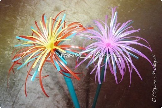 Fireworks Flower from Plastic Tubes 34
