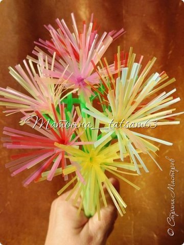 Fireworks Flower from Plastic Tubes 49