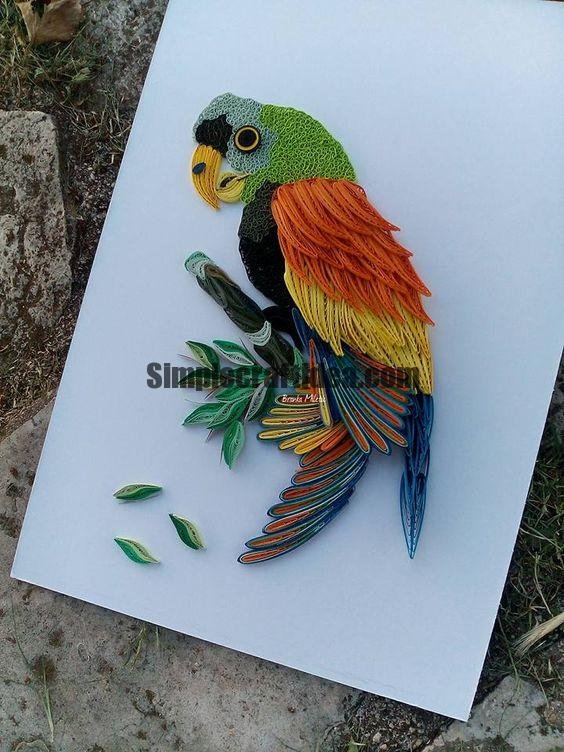 Beautiful Rainbow Parrot 1