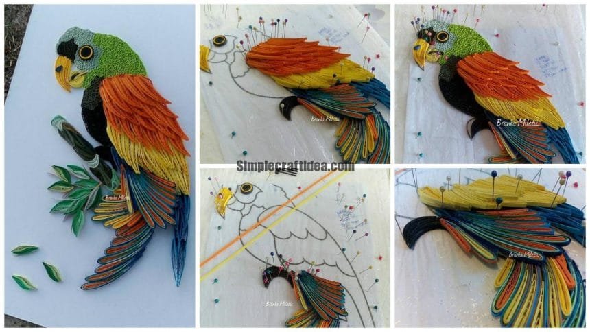 Beautiful Rainbow Parrot 10