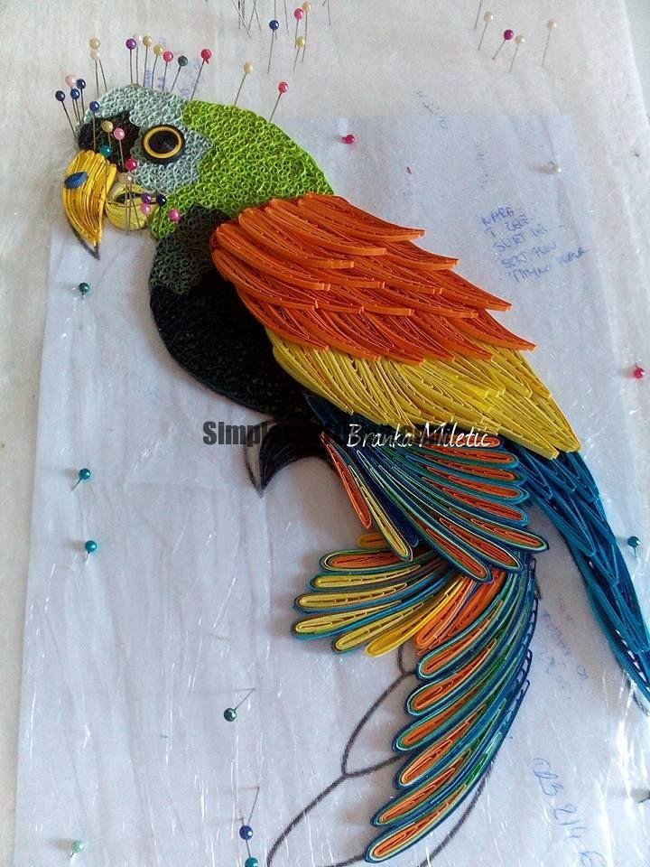 Beautiful Rainbow Parrot 8