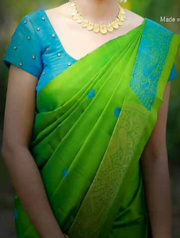 Kanjeevaram Sarees 2