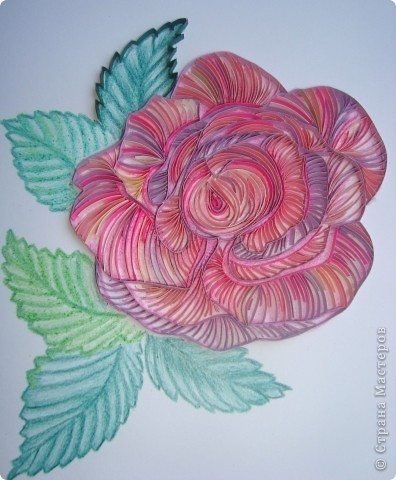 Contour quilling rose 10