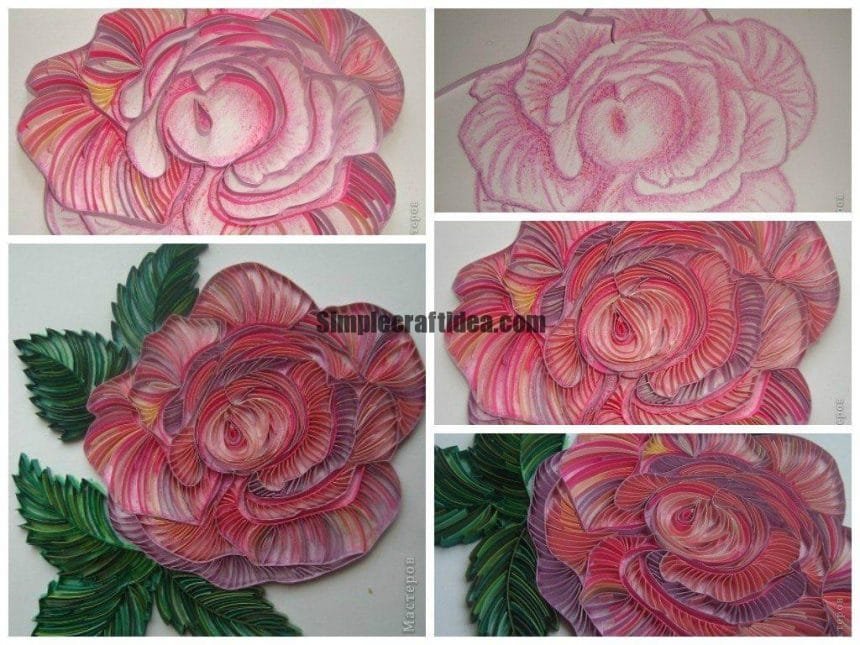 Contour quilling rose a1