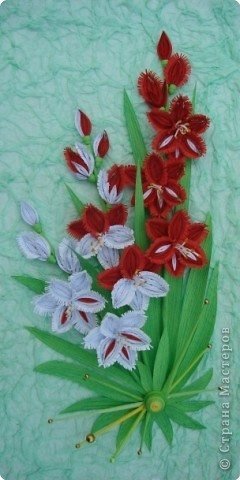 Quilling Gladiolus Flower 1