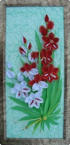 Quilling Gladiolus Flower 8