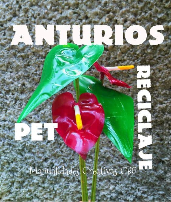 Anthurium Flower making 1