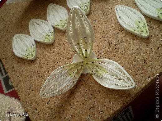 Lily from Quilling 10