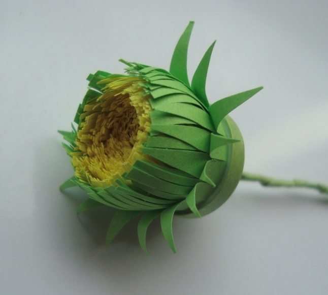 Quilling Turtle 16