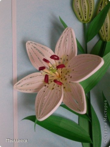 Lily from Quilling 18