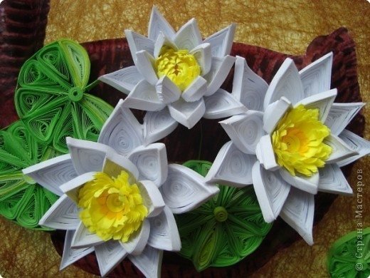 Quilling Lilies 5