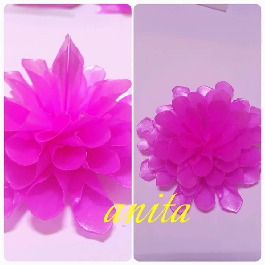 Dahlia flower making 10