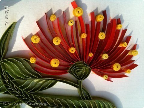 Eucalyptus Flower from Quilling 2