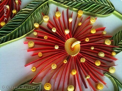 Eucalyptus Flower from Quilling 4