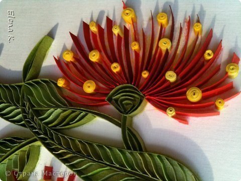 Eucalyptus Flower from Quilling 6