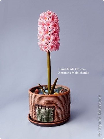 hyacinth flowers 1