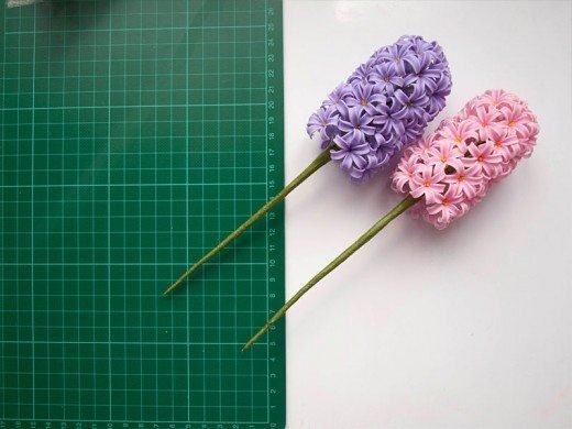 hyacinth flowers 64